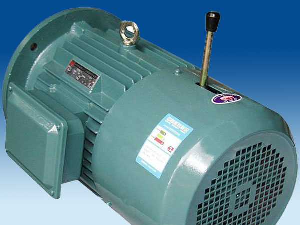 YEJ電磁制動(dòng)電機